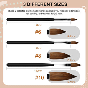 3 PCS Acrylic Nail Brush Set Size 6/8/10